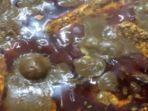 Resep-rendang-ati-ampela.jpg