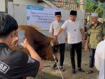 Bupati Panca Serahkan Sapi Kurban Presiden Prabowo ke Masjid Qubro Ogan Ilir, Berat 950 Kilogram