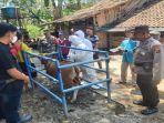 Sebanyak-67-ekor-sapi-dilakukan-vaksin-dosis-ke-2-untuk-melakukan-pencegahan-PMK.jpg