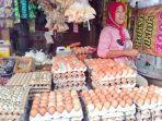 Update Harga Telur Ayam Ras di Musi Rawas Hari Ini, Sabtu 13 Januari  2024 Turun Rp 1.000 Per Karpet
