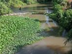Sungai-Lesing-Habitat-Buaya.jpg