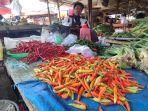 Tampak-Pedagang-Kaki-Lima-PKL-di-Pasar-Nendagung-Kota-Pagaralam-yang-menjual-Cabai.jpg