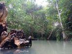 Wisata-pemandian-hutan-rawa-di-Tanjung-Batu-Ogan-Ilir-Sabtu-1442022.jpg
