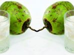 air-kelapa-muda_20161128_095701.jpg