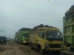 angkut-sawit_20161208_231954.jpg