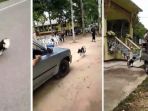 anjing-setia1_20180623_135710.jpg