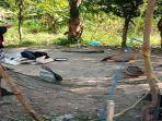 arena-sabung-ayam-prabumulih.jpg