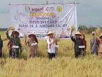 askolani-desa-pulau-parang.jpg
