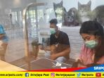 beberapa-jenis-kucing-peliharaan-sedang-melakukan-perawatan-di-evo-pets-palembang_20180929_172612.jpg