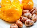 biji-buah-nangka.jpg