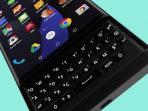 blackberry-veig_20150929_014959.jpg