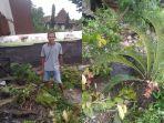 bonsai-seharga-puluhan-juta-rusak.jpg