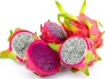 buah-naga1_20180310_084626.jpg