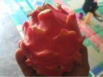 buah-nagaku.jpg