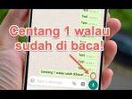 cara-membuat-pesan-whatsapp-tetap-menjadi-centang-1-meski-sudah-dibaca.jpg