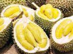 cerita-cagak-warga-muaraenim-tertelan-biji-durian-nyangkut-di-tenggorokan-pasca-jalani-operasi.jpg