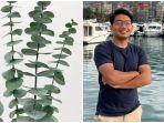 daun-eucalyptus-dan-eril.jpg