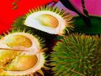durian-hutan-khas-muba.jpg