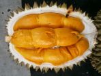 durian-kencono-rukmi_20171110_084711.jpg
