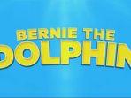 film-bernie-the-dolphin.jpg