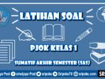 gambar-soal-PJOK-SAS.jpg