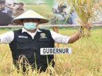 gubernur-sumsel-herman-deru-saat-panen-raya.jpg