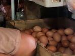 harga-telur-di-PALI-turun.jpg