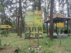 healing-forest-twa-punti-kayu.jpg