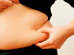 ilustrasi-lemak-perut-dan-pinggang_20151216_210001.jpg