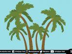 ilustrasi-pohon-kelapa1.jpg