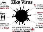 ilustrasi-virus-zika_20160902_104114.jpg