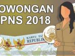 ini-7-pengumuman-soal-pendaftaran-cpns-2018-mulai-link-sscnbkngoid-jadwal-formasi-syaratnya_20180725_182914.jpg