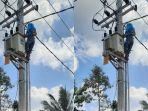 jajaran-pln-unit-pelaksana-proyek-ketenagalistrikan.jpg