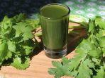 jus-seledri-1.jpg