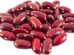 kacang-merah1.jpg
