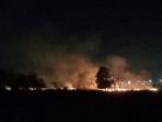 Kebakaran Lahan Dekat Tol Kayuagung-Palembang, Satgas Karhutla Berupaya Cegah Asap Ganggu Lalin