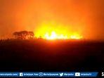 kebakaran-lahan-semakin-meluas.jpg