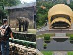 kebun-binatang-ragunan-dan-taman-mini-indonesia-indah-di-tahun-2022.jpg