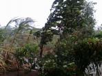 kencang_20151108_220840.jpg