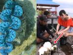kerang-kima_20180423_115655.jpg