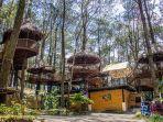 kopeng-treetop-di-kaki-gunung-merbabu.jpg