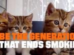 kucing-kampanye-anti-rokok_20160220_074443.jpg
