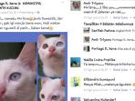 kucing-mata-aneh_20160910_124436.jpg