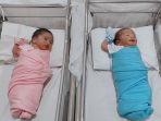 lahirkan-bayi-kembar-berjenis-kelamin-laki-laki-perempuan-ini-arti-nama-dari-bayi-syahnaz-sadiqah.jpg