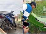 KECELAKAAN Maut di Bengkulu, Seorang Wanita Asal Musi Rawas Meninggal di TKP, Kendarai Motor Beat