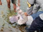 mayat-perempuan-yang-ditemukan-mengambang-di-pinggir-Danau-Maninjau.jpg