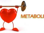 metabolisme-tubuh_20180918_164153.jpg