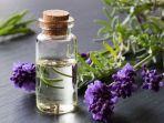 minyak-esensial-lavender.jpg