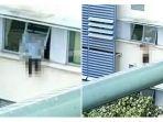 pasien-covid-19-di-malaysia-nekat-melarikan-diri-dengan-cara-melompat-dari-lantai-5-rumah-sakit.jpg