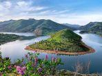 pegunungan-hijau-dikelilingi-hamparan-bunga-di-bulgaria.jpg